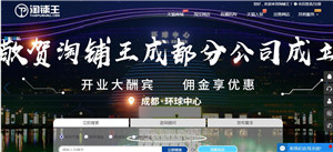 淘铺王